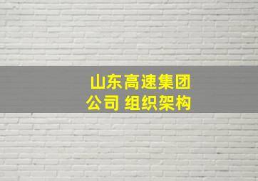 山东高速集团公司 组织架构